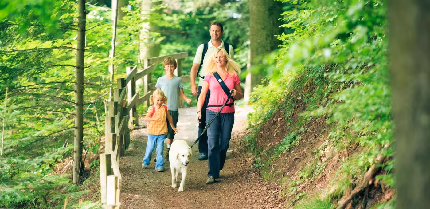 causey hill pet-friendly static caravan park