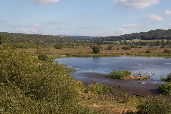 scout cragg local area