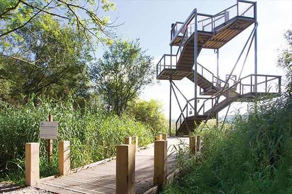 Leighton Moss Sky Tower Lancashire