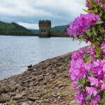 Derwent Reservoir