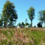 Village Green Park Grass