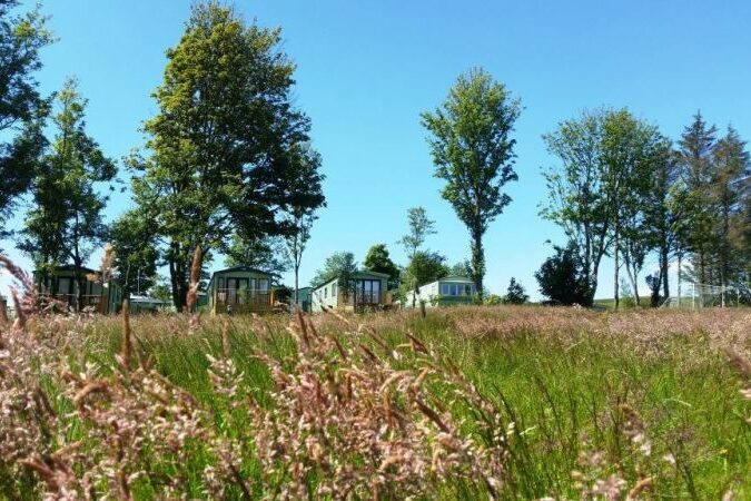 Village Green Park Grass