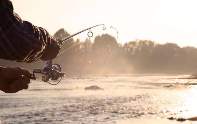 Fishing Licence